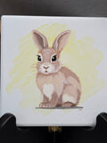 Baby Bunny Set of 3
