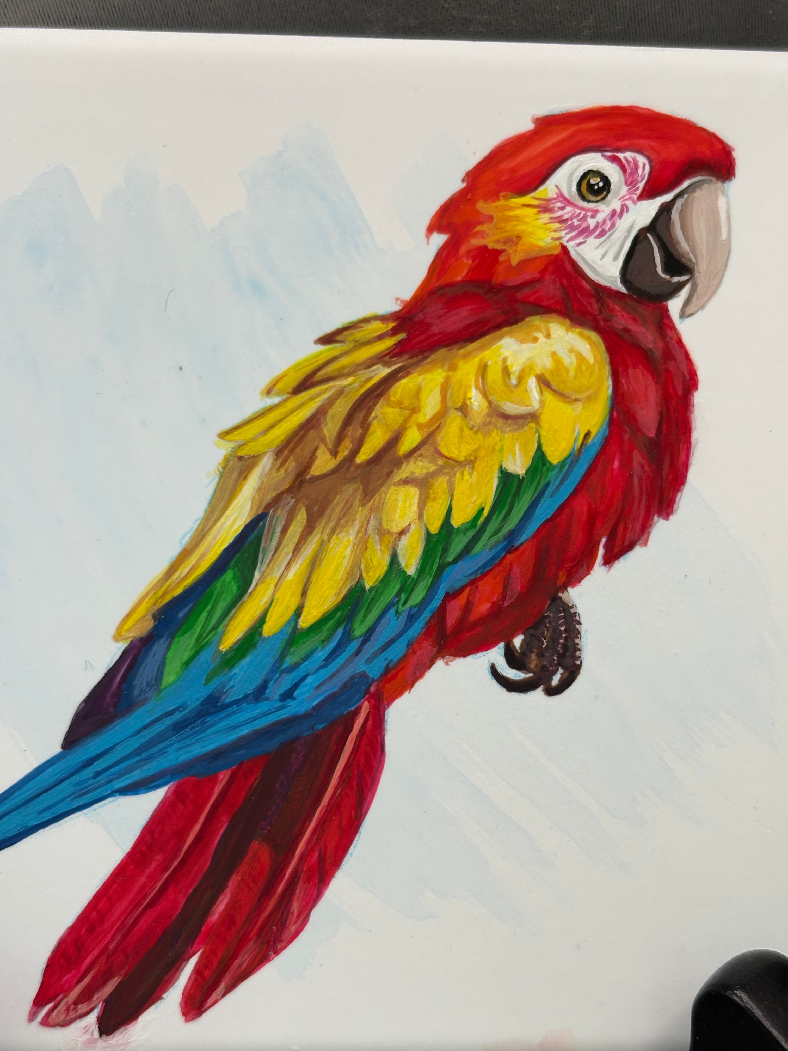 Parrot