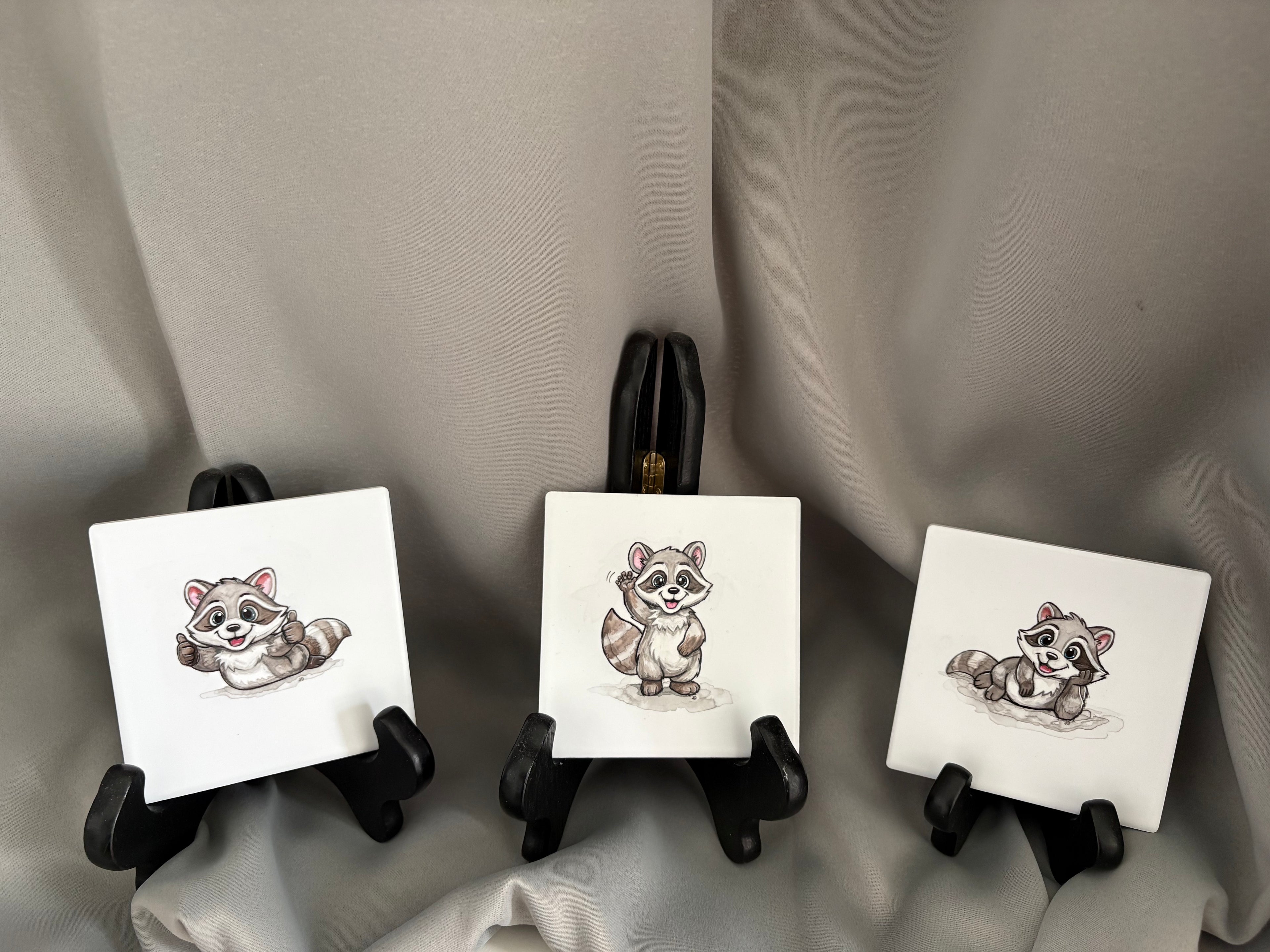 Raccoon Set of 3