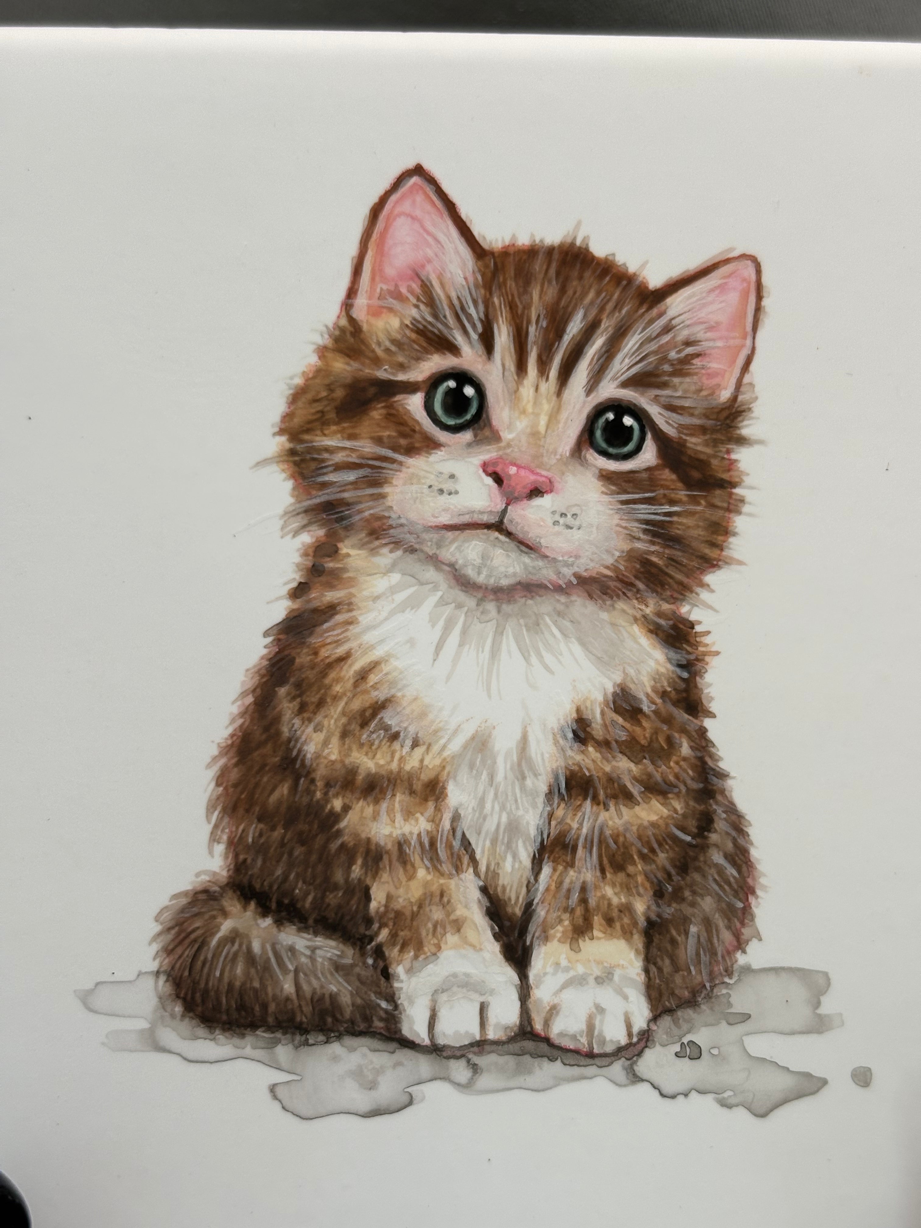 Kitten Set of 3