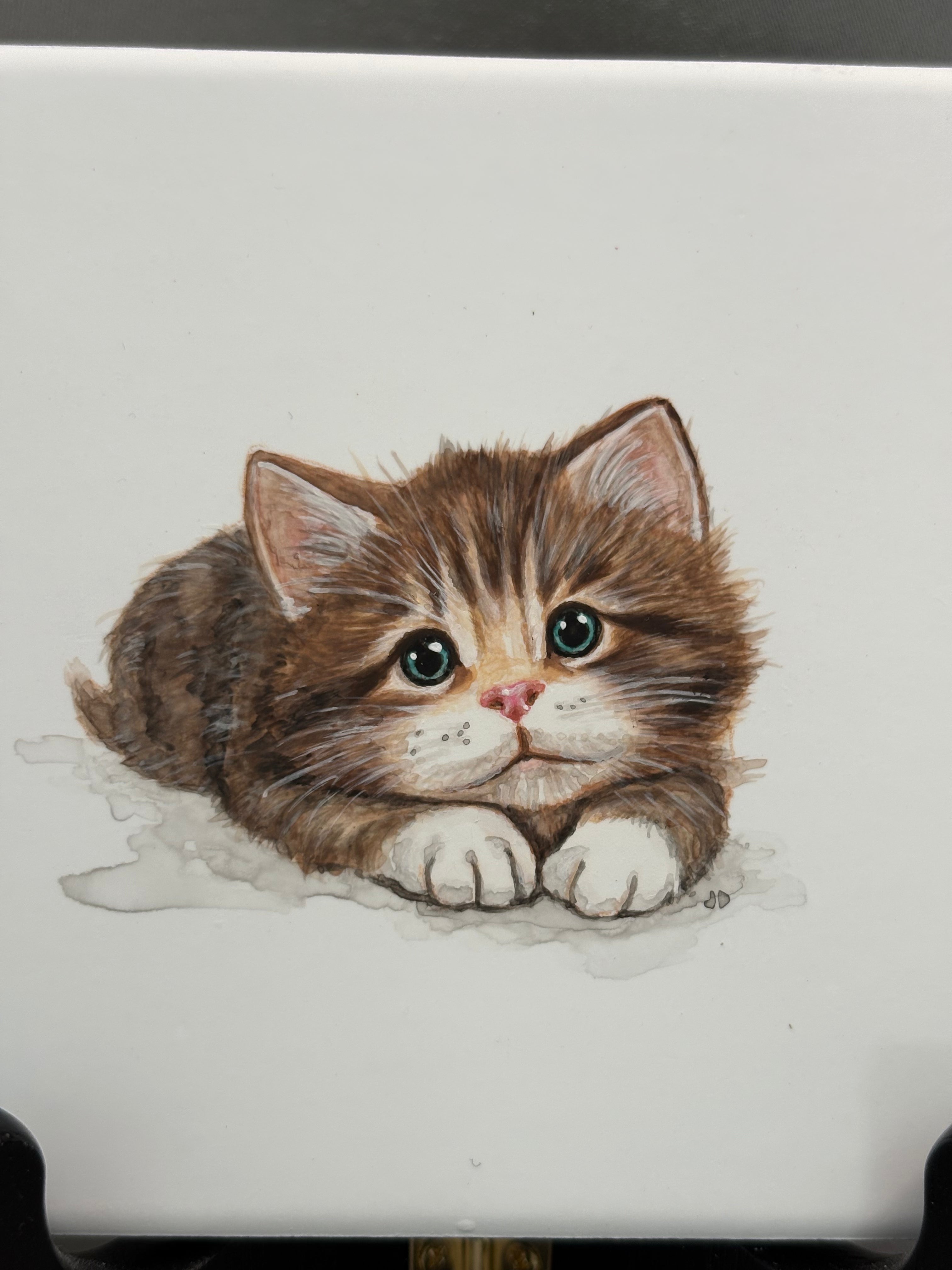 Kitten Set of 3