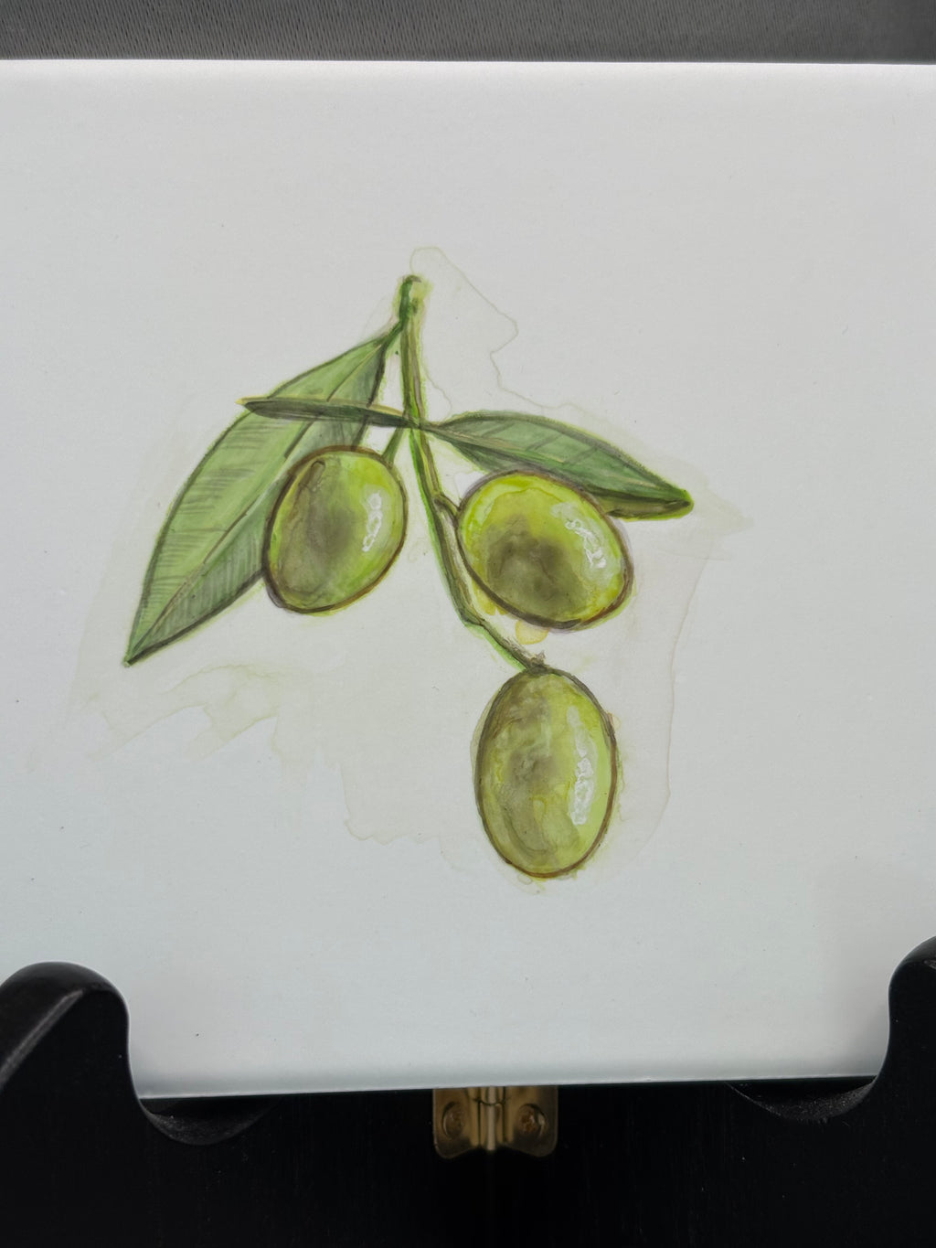 Olive Branch Set of 3
