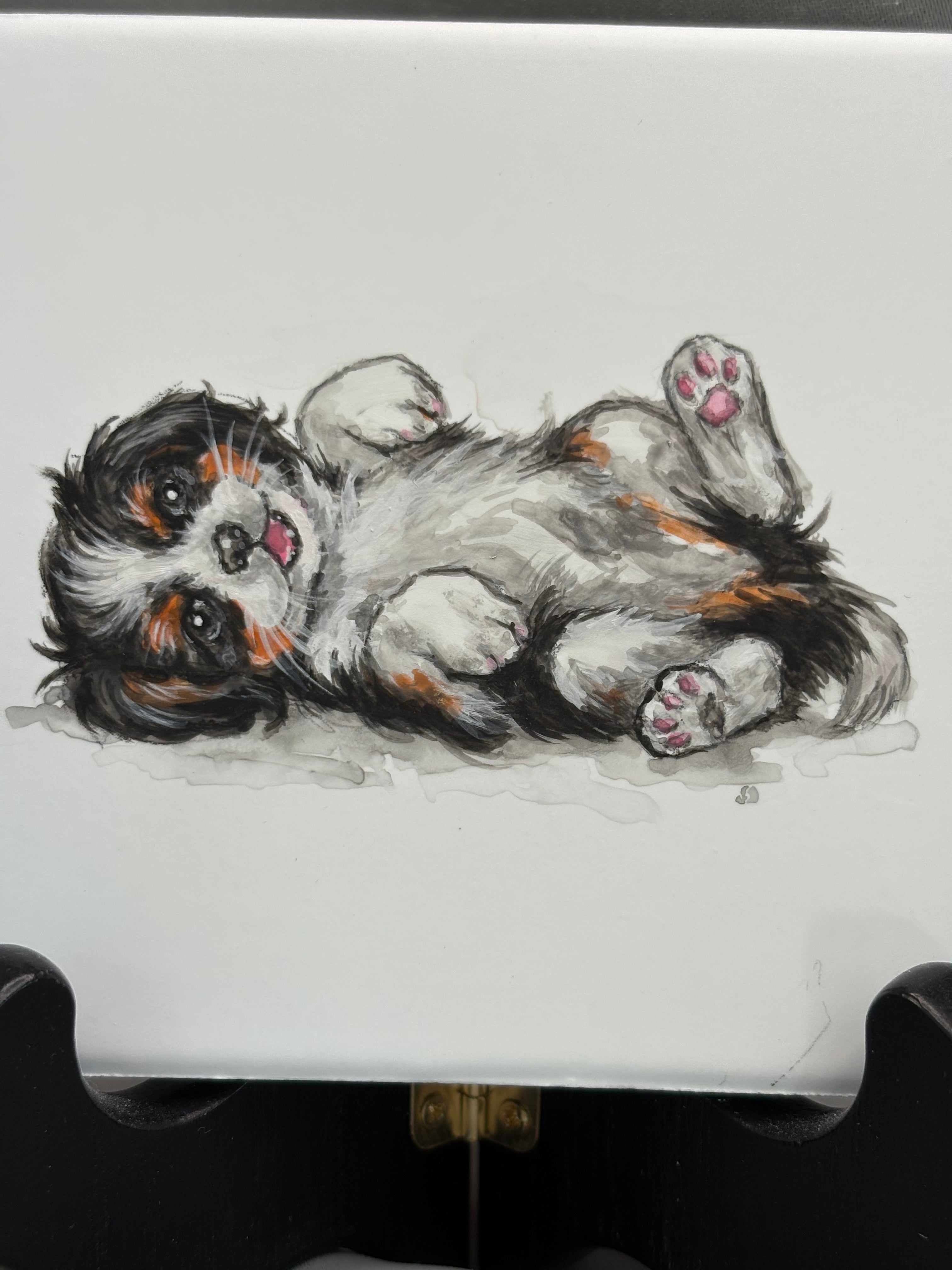 Puppy Set of 3